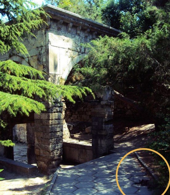 Спрятался в тени деревьев.