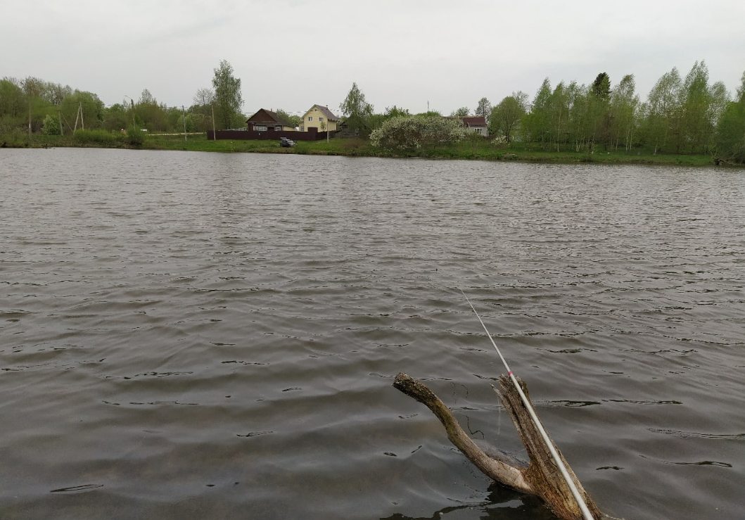 Вчера. Ветер, через десять-пятнадцать минут полил дождь.