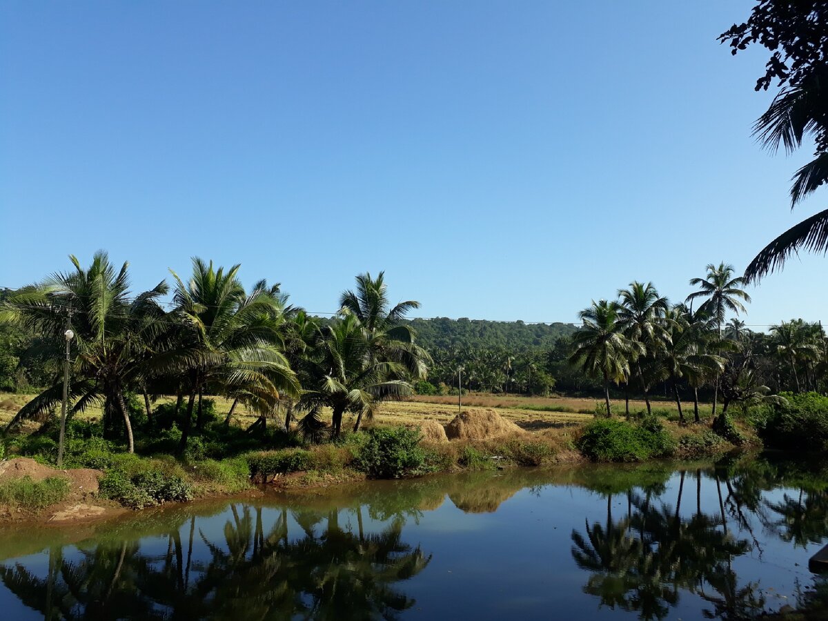 Гоа, Мандрем