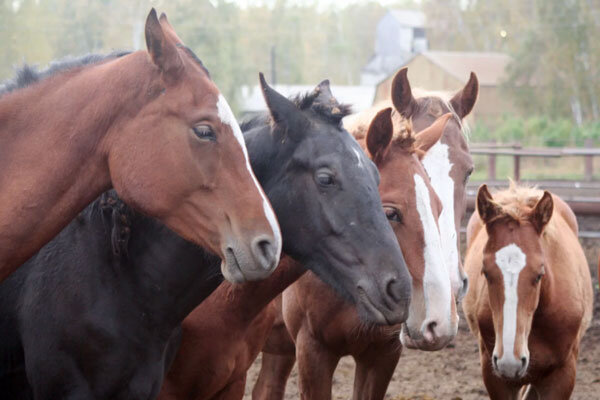 Источник фото сервис Яндекс.Картинки