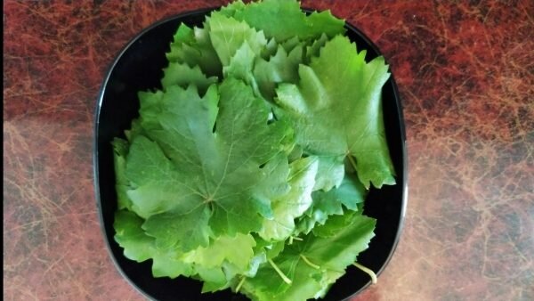 65-70 шт свежих не очень крупный виноградных листьев помещаем в глубокую ёмкость и заливаем кипятком.