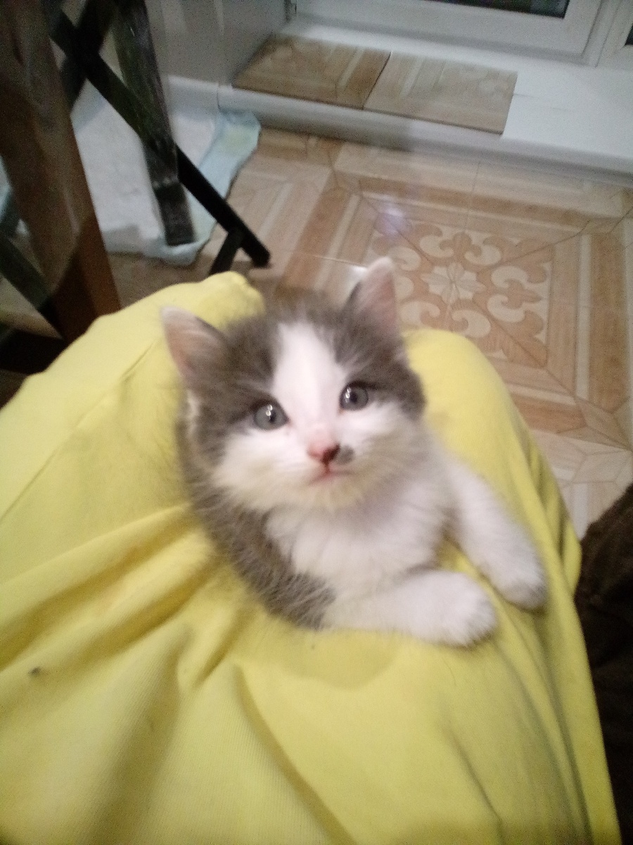 Майя. Первый день дома