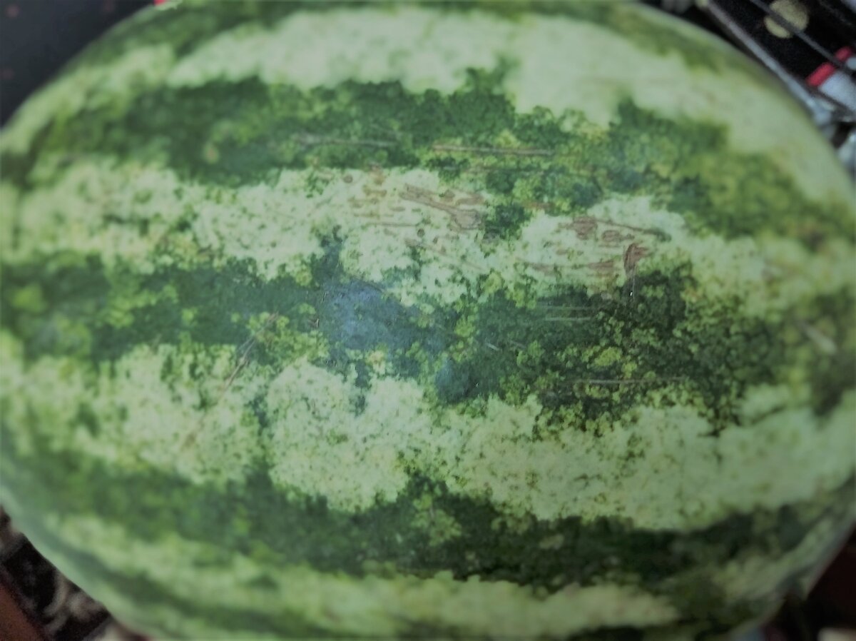 такой красавчик...и подвел)))