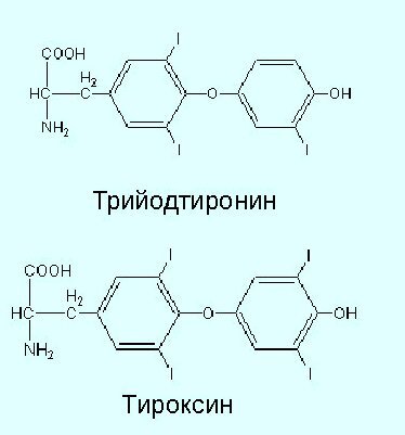 основные гормоны щитовидной железы, по стрелочке схема синтеза