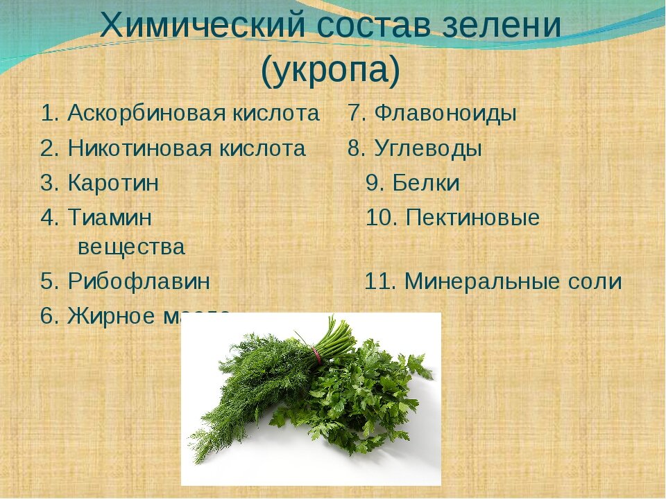 Яндекс Картинки