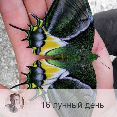 Подписывайтесь и ставьте 👍
16-ый лунный день с 16:09 30-ого по 16:38 1-ого. 🕊 Символы дня - голубь, бабочка.
🌞 День справедливости, равновесия и гармонии. Хороши любые физические упражнения, что приводит к гармонии не только физической, но и психической. Надо быть спокойным и не нарушать это состояние. Это день обновления крови. Противопоказано – крик, бесцеремонность, злобность, агрессивность. Не рекомендуется употребление животной пищи.
⚠️ Примета дня – грязь, налипшая на одежду, это может быть признаком заболевания крови.
🎂 Люди, рождённые в этот день, любят белый, голубой и серебристый цвета. Они склонны к чистоте во всём, не осуждают других.
💍 Камни – турмалин, изумруд.
💊 Процедура дня: профилактика болезней селезёнки.
💤 Сны помогают ослабить внутреннее напряжение и справиться с болезнью.

—————
✓ Помогаю сделать лучший выбор
Олег Персидский ⇨ numeromagic.ru/uslugi