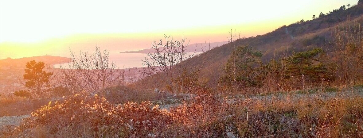 Вид на Геленджикскую бухту  с Маркохтского хребта