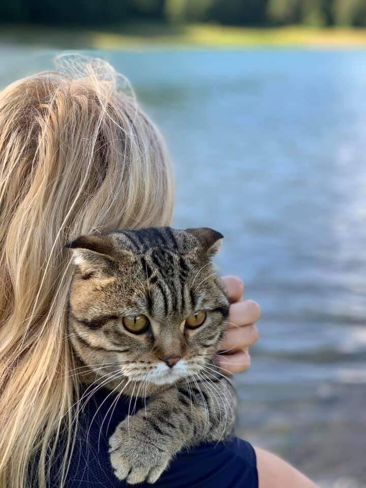 фото использовано в качестве иллюстрации. Источник "Яндекс.Картинки"