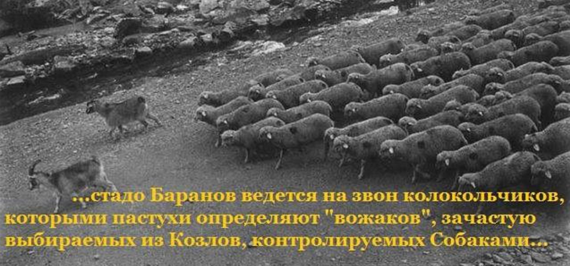 Хотите верьте, хотите нет