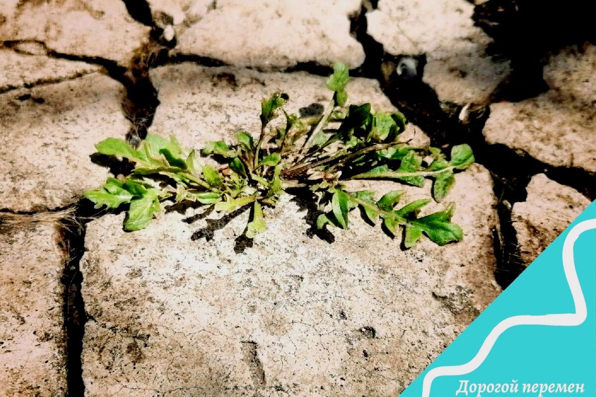 Наш организм способен на большее, чем мы думаем