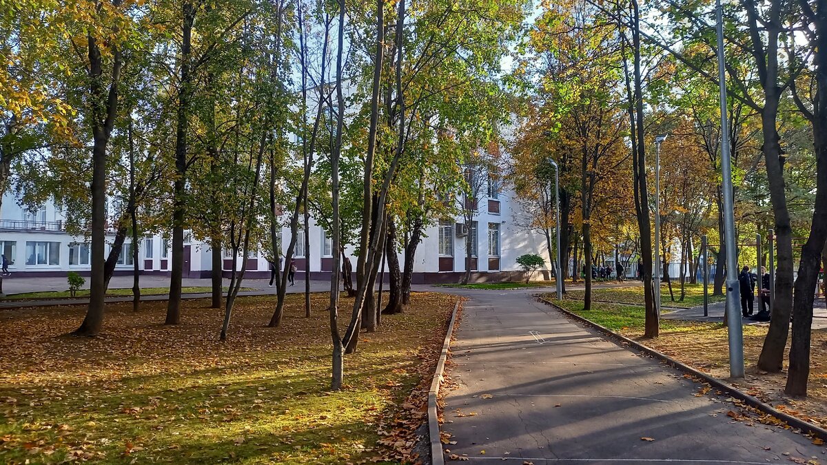 Почему родительские чаты нас бесят и нам же вредят | БЛОКНОТ ЖЕНИ БОРИСОВОЙ  | Дзен