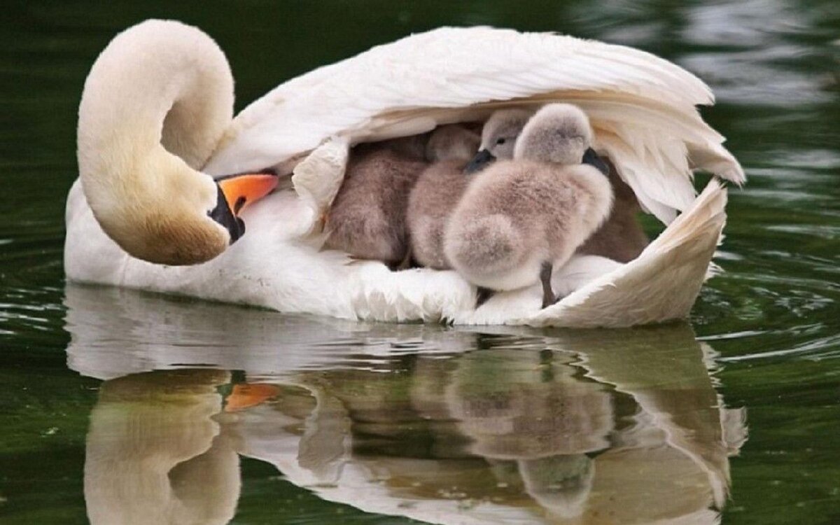 Фотография взята из интернета.