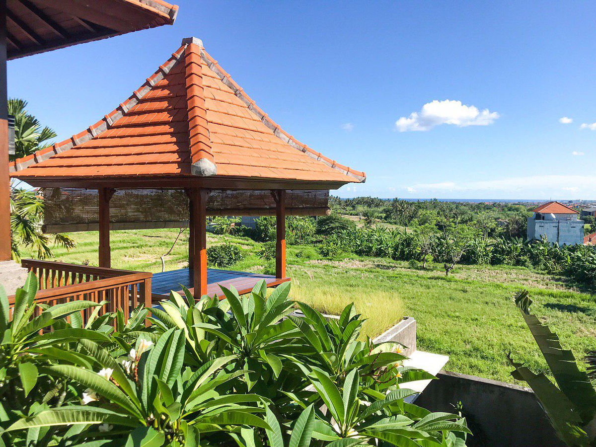 Вид на рисовые поля Убуда с балкона виллы