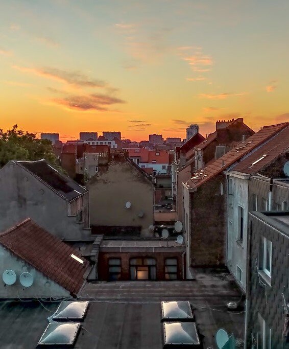 Успела сфоткать только брюссельские крыши из окна комнаты. 