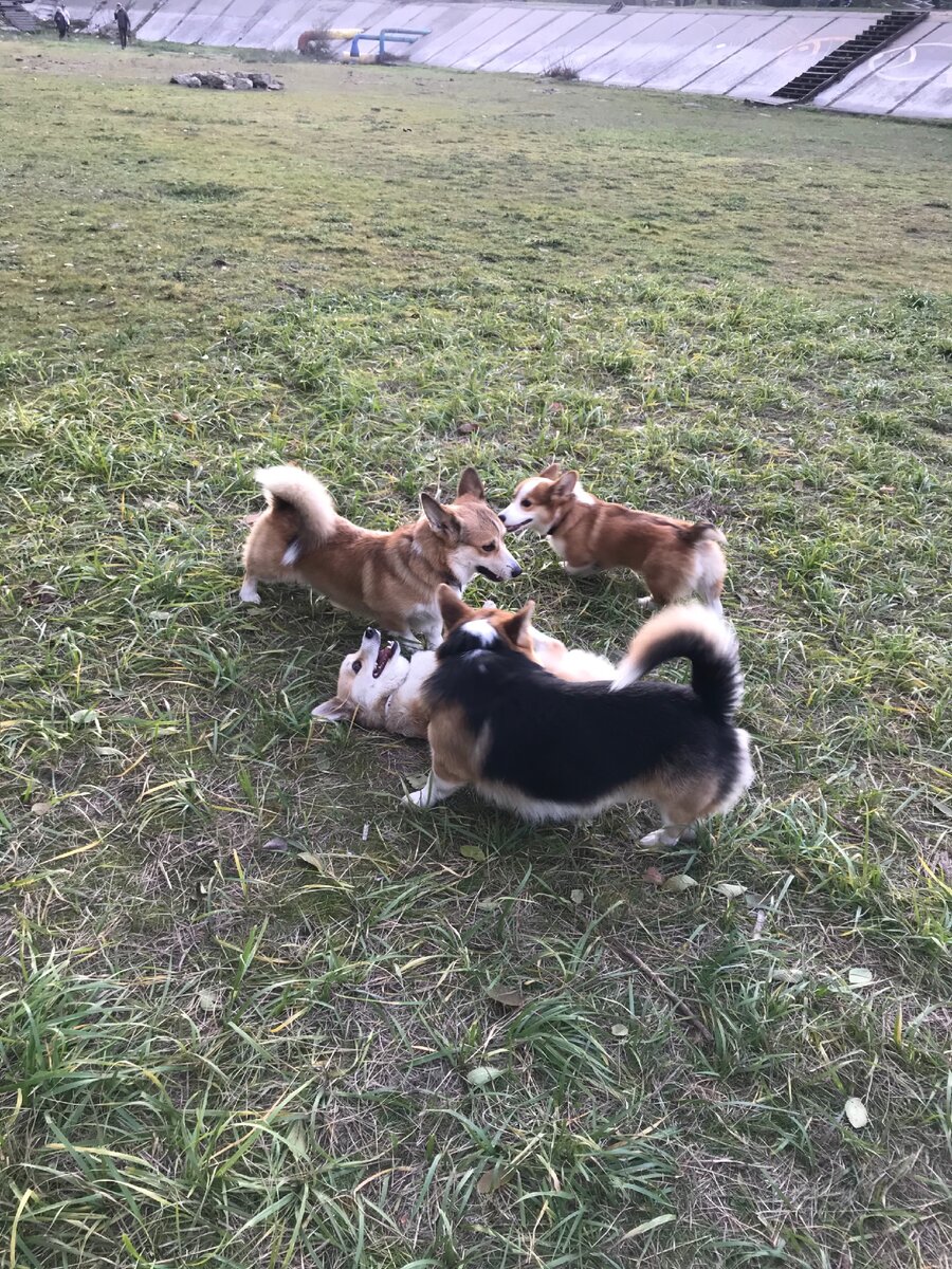 Авторское фото