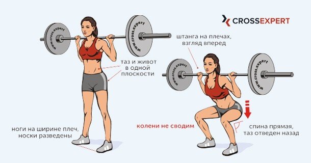 Приседания со штангой. Фото взято с сайта https://cross.expert