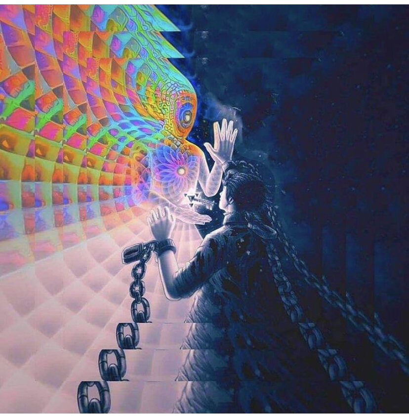 Картинка из интернета 