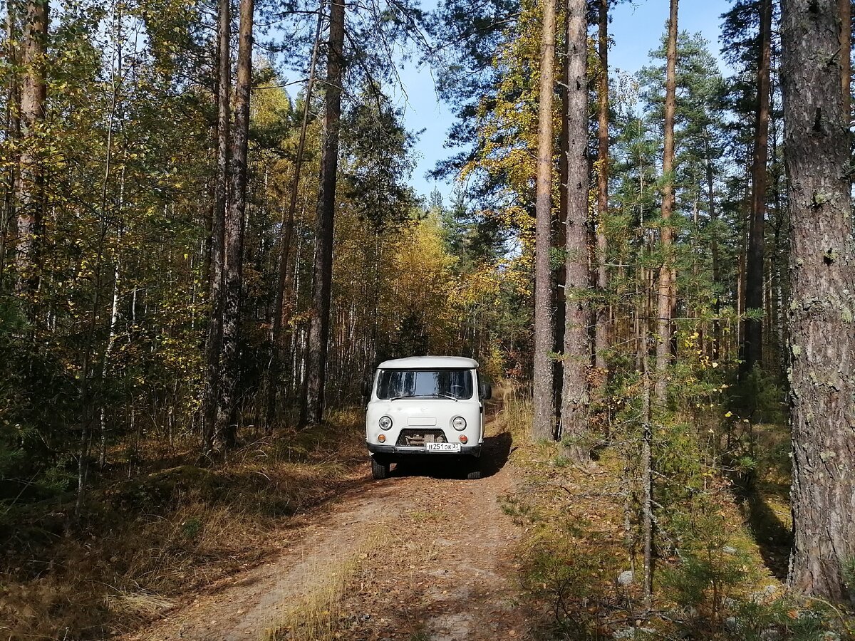 Дорога к озеру Заборье