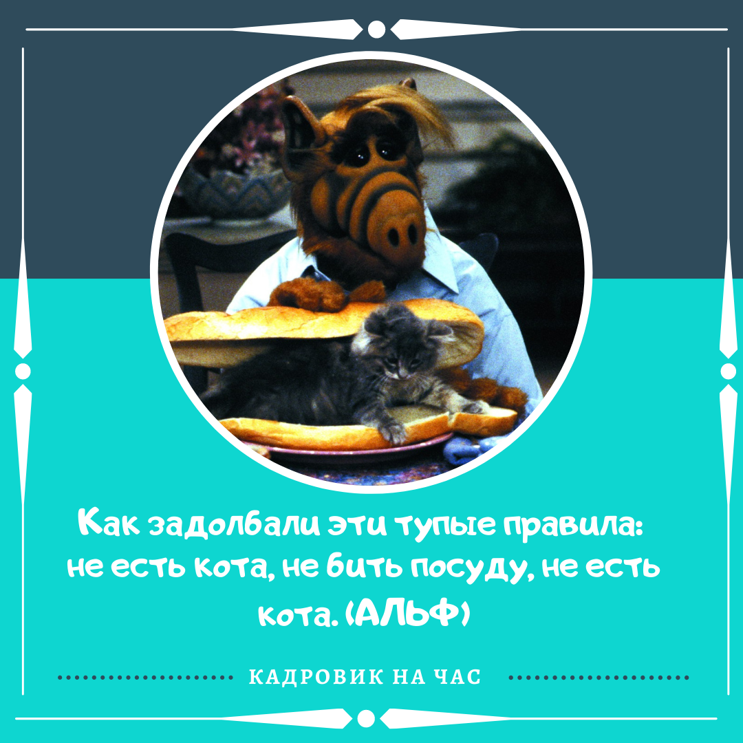 ПОДПИСЫВАЙТЕСЬ НА КАНАЛ, что бы получать информацию о трудовом законодательстве в легкой и доступной форме.