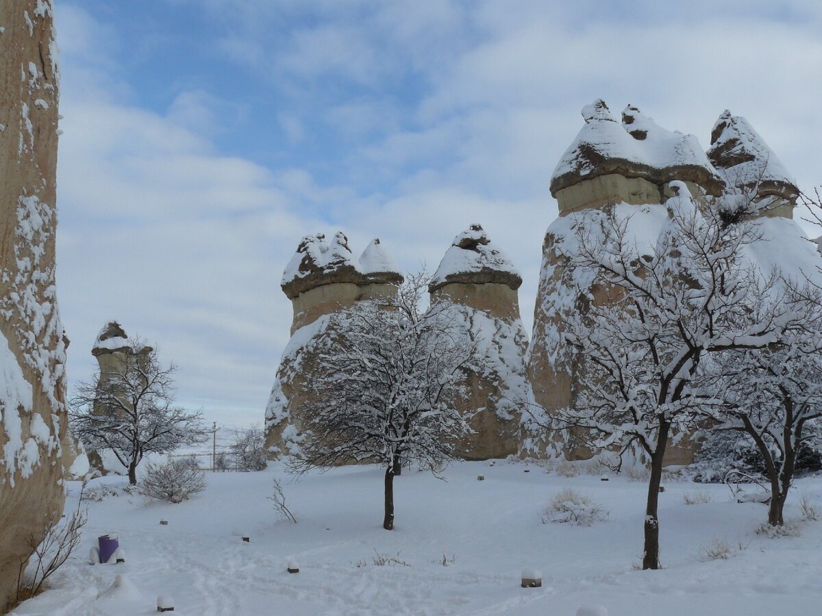 Подобные скалы - останцы занимают десятки квадратных километров