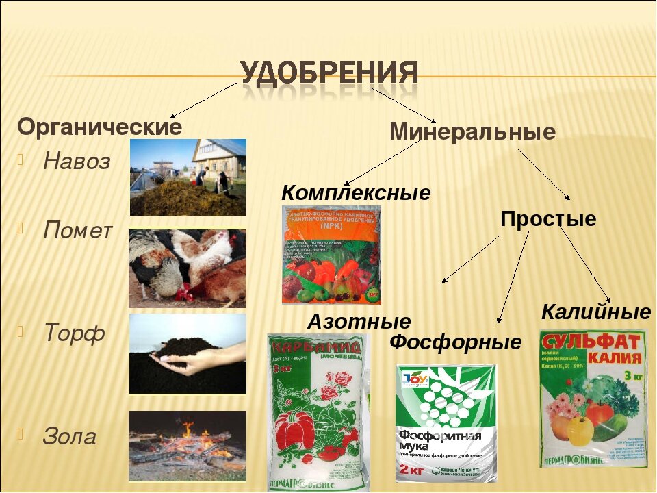 Презентация органические удобрения