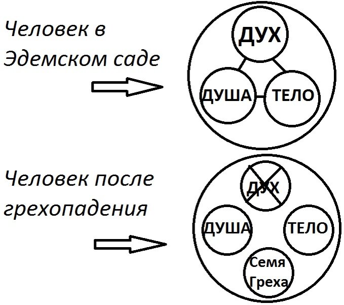 Иллюстрация изменения природы человека в результате грехопадения