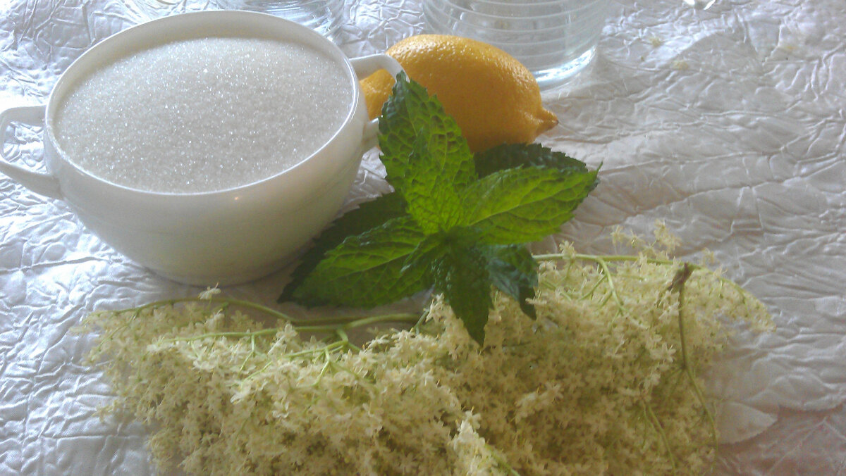 Будем делать напиток из цветков бузины