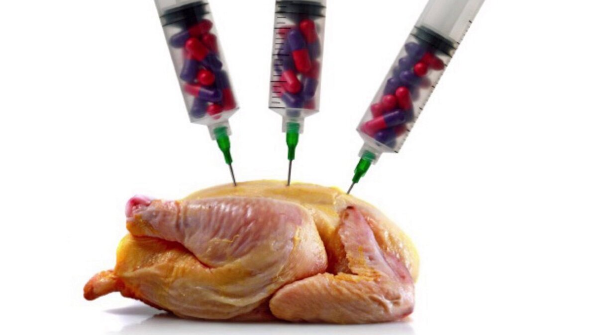 Как очистить курицу от антибиотиков и гормонов. Как выбрать курицу в магазине. Антибиотики в птицеводстве. Курица без антибиотиков. Курица без антибиотиков.