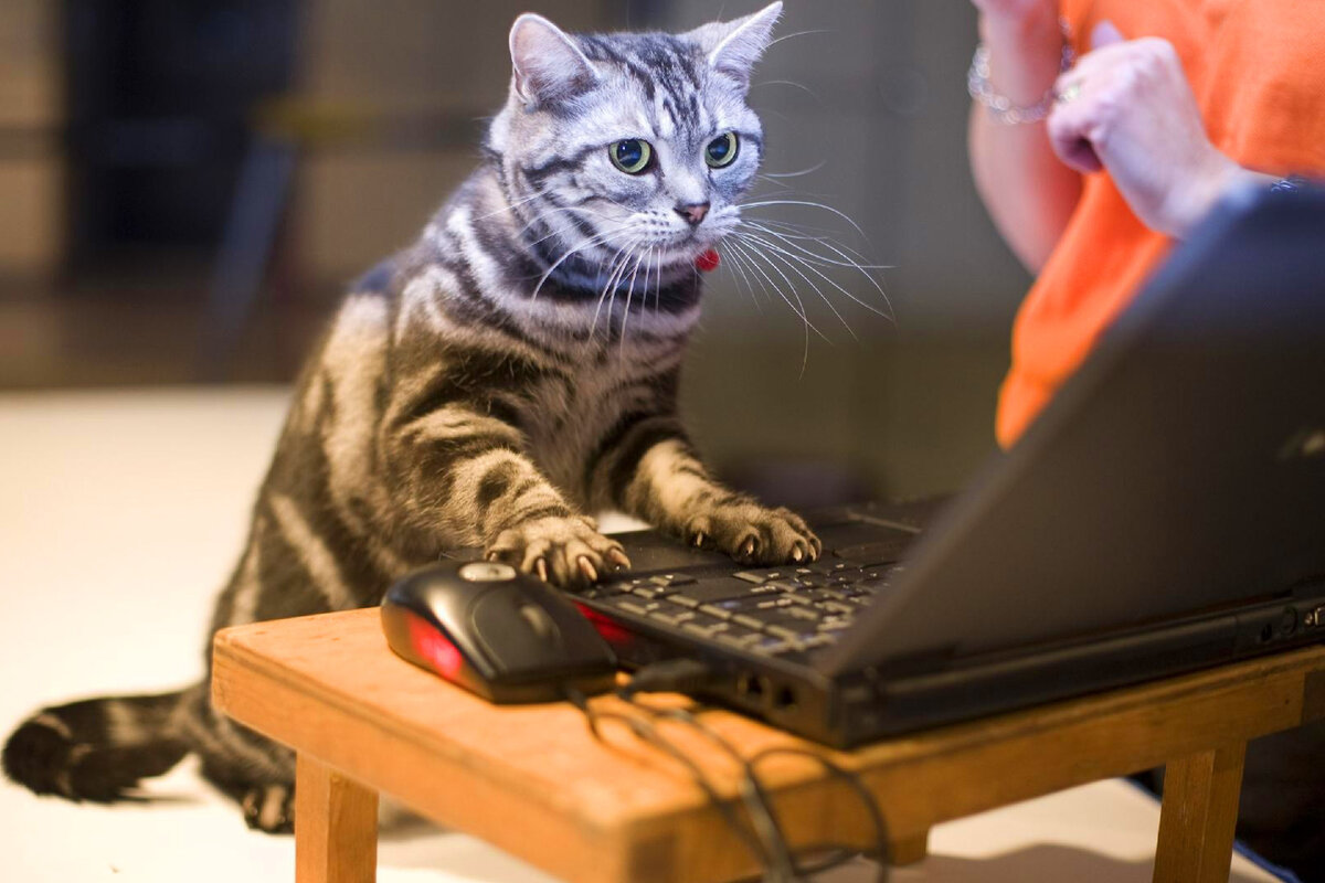 Как удалить файл или папку в ОС Windows с очень длинным путем