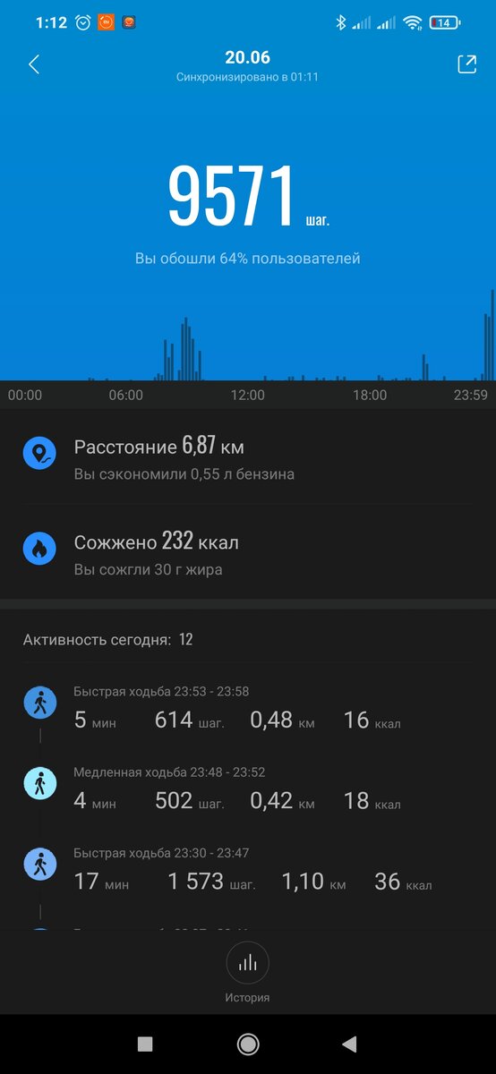 Я не смогла