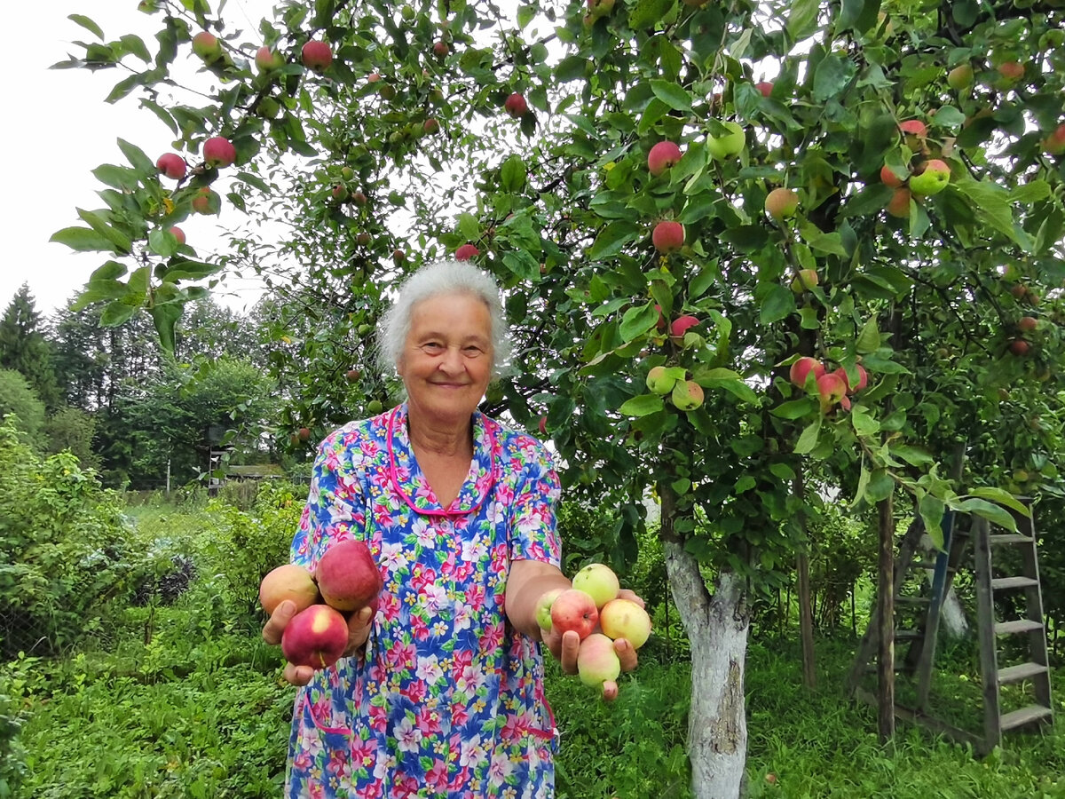 Наш дачный командир и урожай 2021