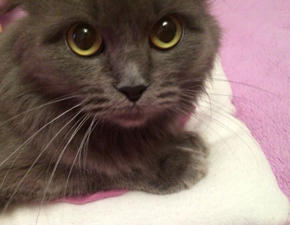 Фото из личного архива