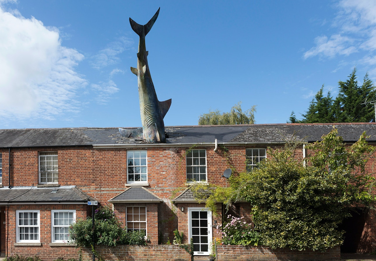 Акула в крыше дома