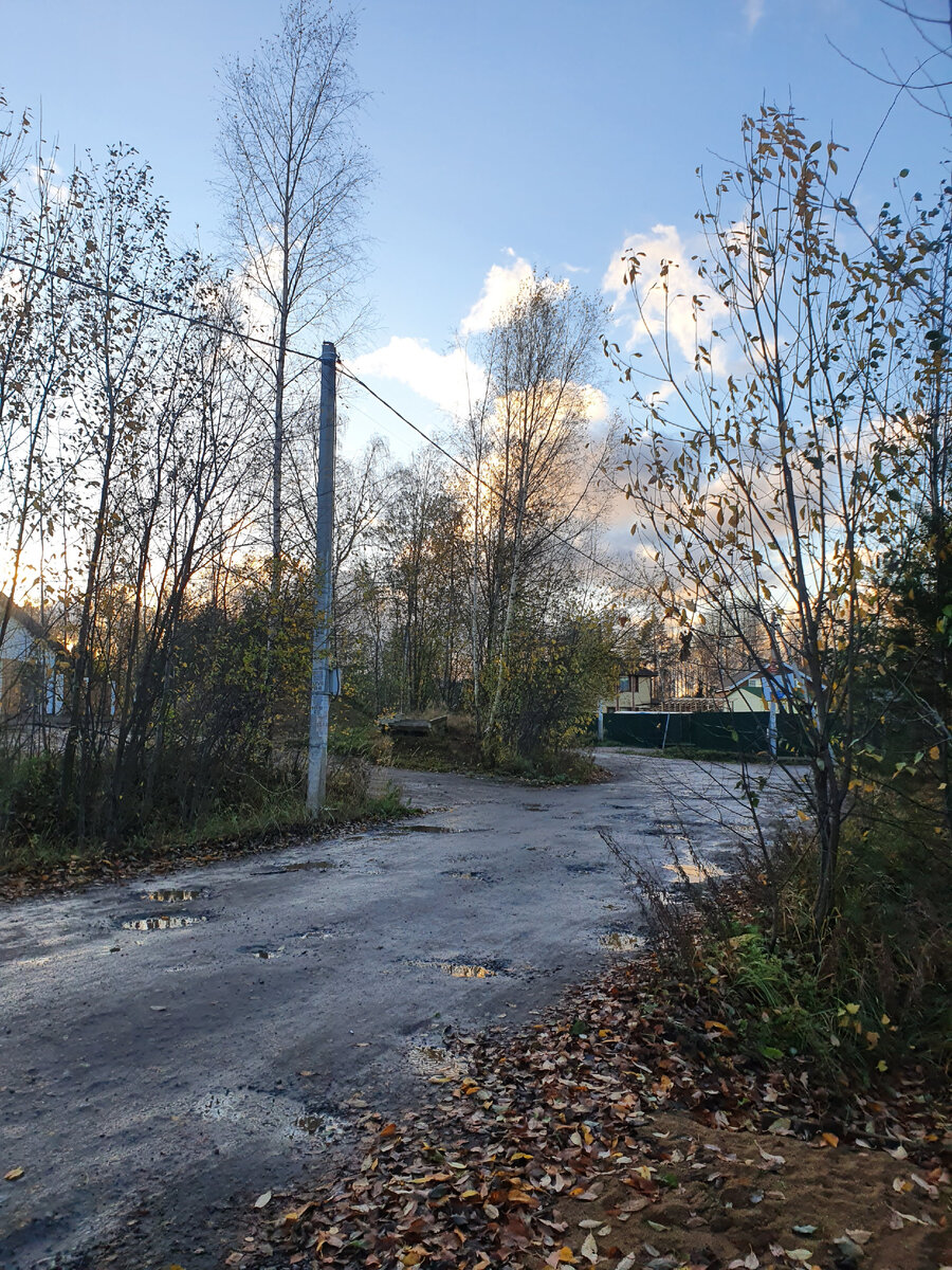 А этот пейзаж снят сразу от наших ворот. Дорога конечно так себе, но всё равно красиво.