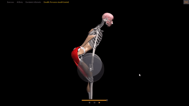 Техника выполнения мертвой тяги
