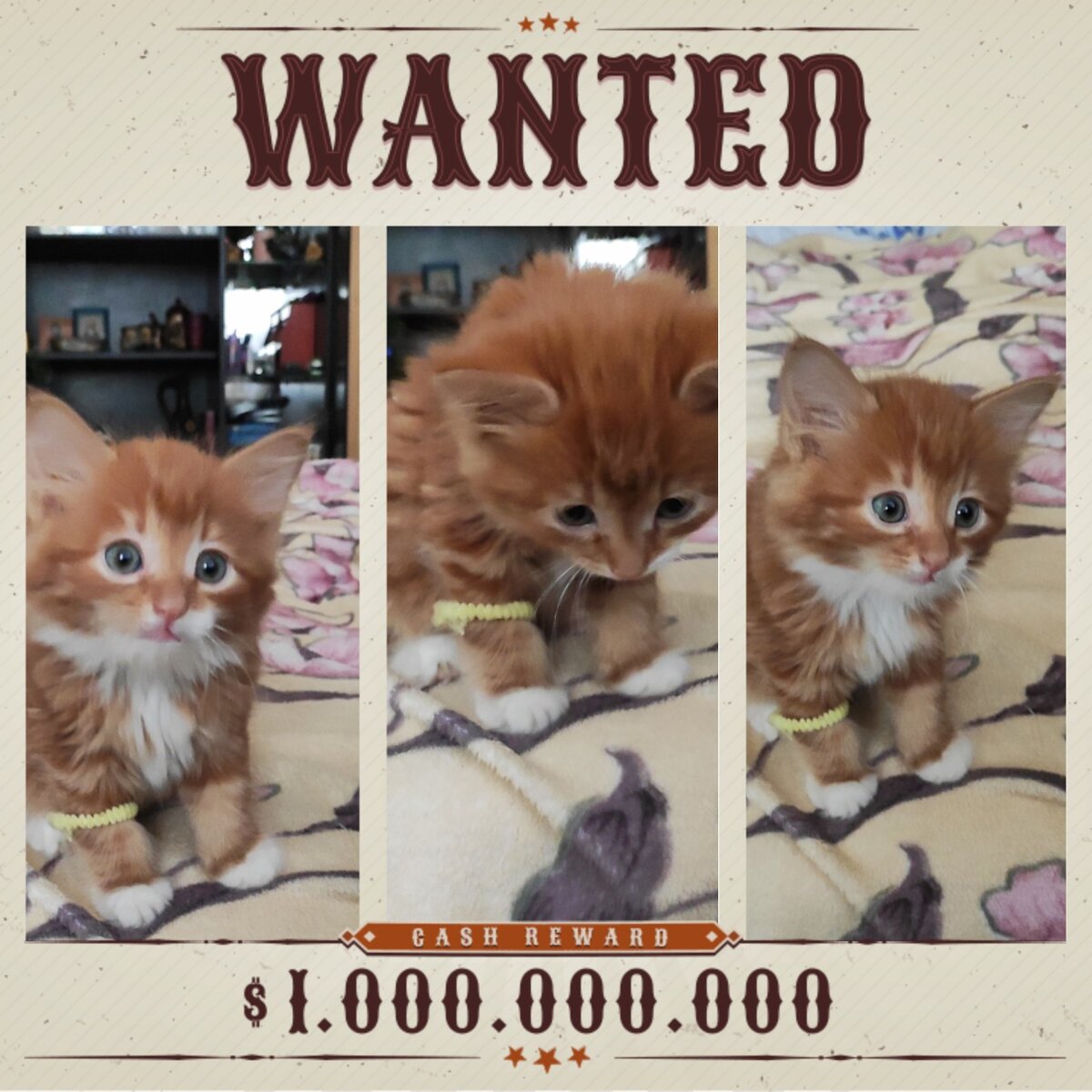 Коллаж автора