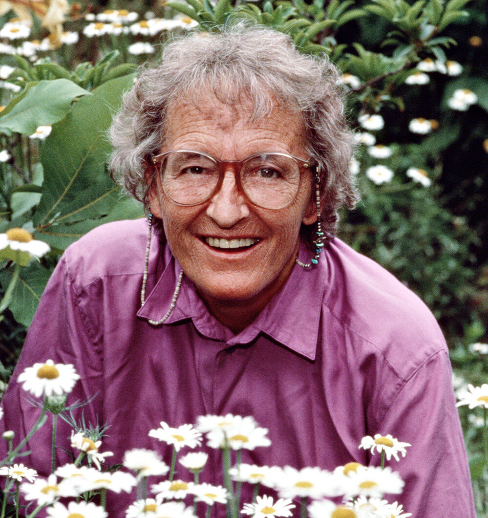 Картинка из свободного доступа