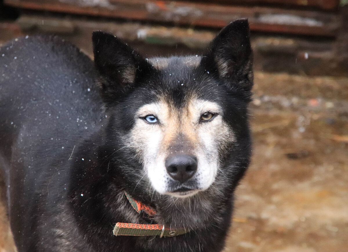 Следуй своей дорогой, возможно, она покажет путь другому