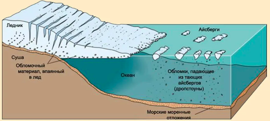 Моренные моря. Образование ледника схема. Покровный ледник схема. Строение покровного ледника. Схема шельфового ледника Антарктиды.