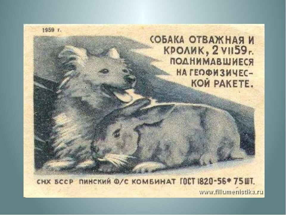 Советский маркетинг: изображения животных, принимавших участие в космической программе, помещались на спичечные этикетки (предмет коллекций) и пачки сигарет.
