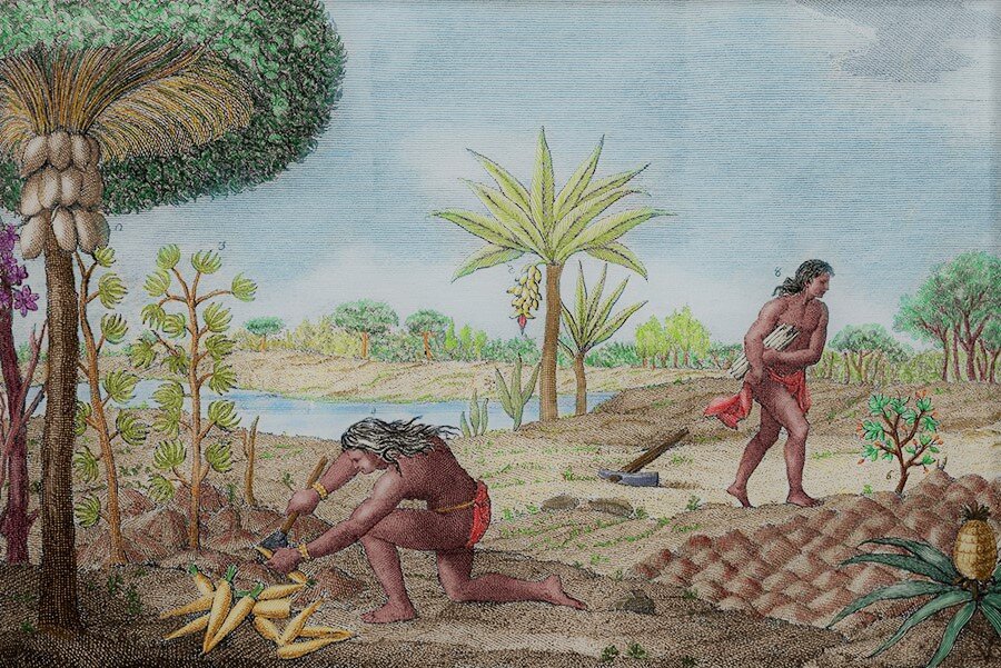 Картина их интернета