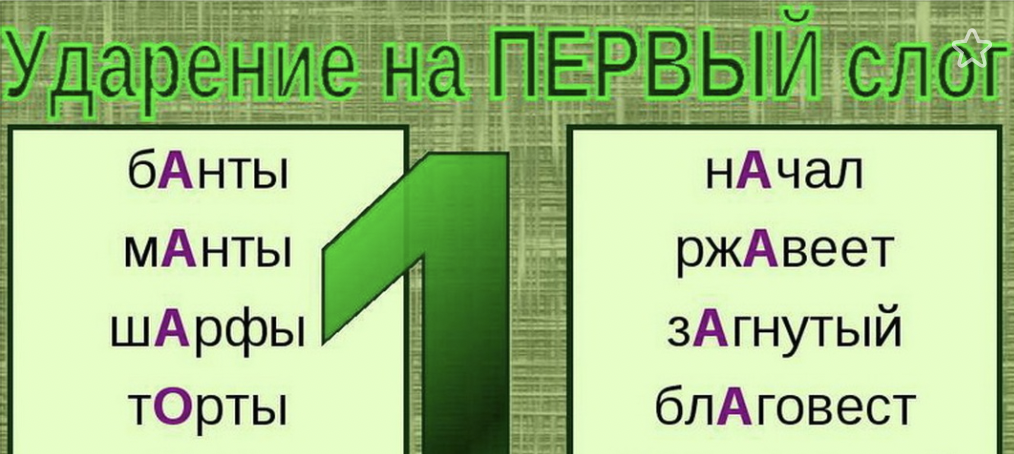 Поставить ударение кухонная черпая звонит шарфы