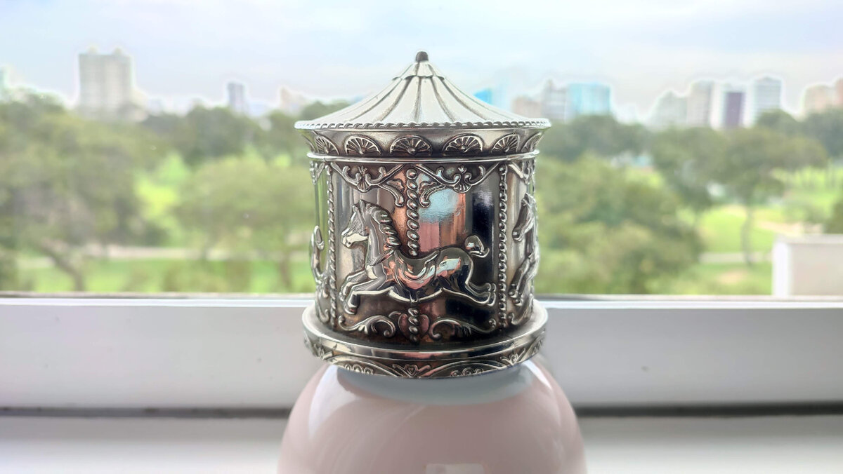 Копилка Хорхе. Развлекается, собирает монеты по 2 и 5 солес пока не наберет на 100 долларов, потом идет обменивает )))) 