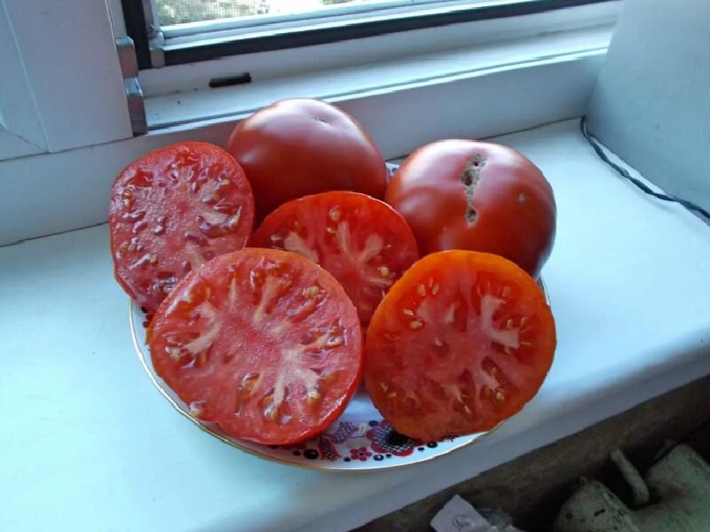 Лучшие помидоры россии. Томат штамбовый крупноплодный. Штамбовый крупноплодный сорт томатов что это такое. Томат штамбовый крупноплодный, Алтай. Сорт Викинг помидоры.