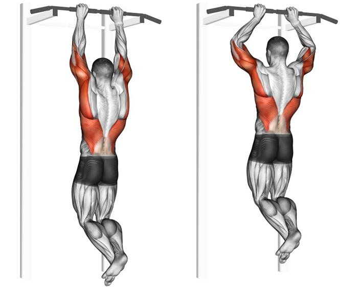 Хваты на перекладине. Подтягивания узким хватом мышцы. Подтягивания хватом сбоку. Тяга вертикального блока пронированным хватом. Подтягивания супинированным узким хватом.
