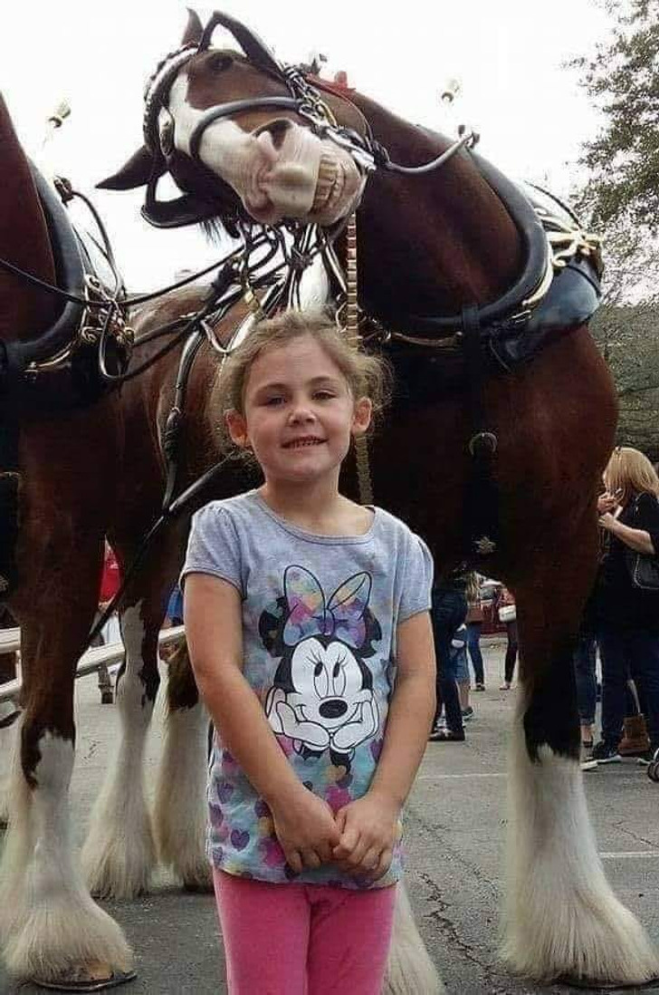 © 
justinone/ Reddit