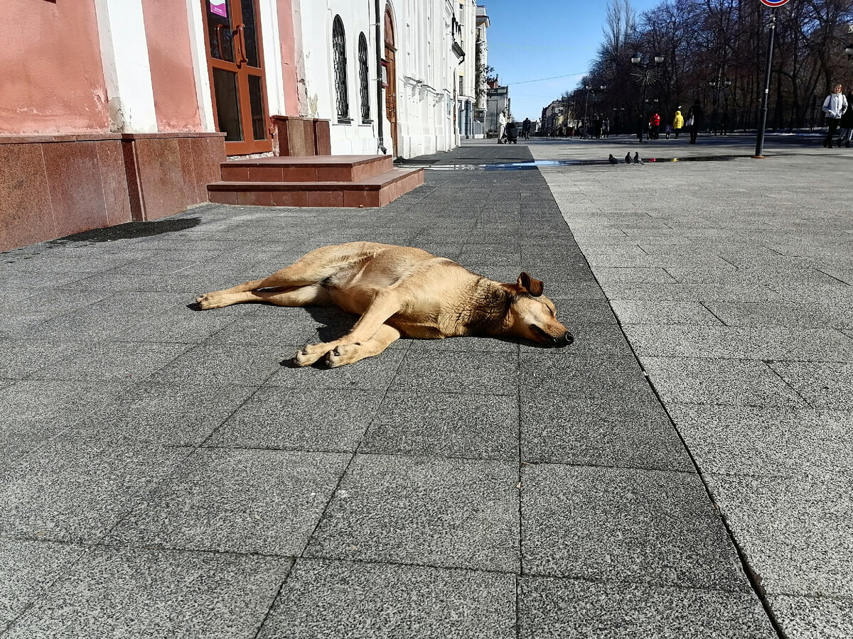 Пришла весна! 