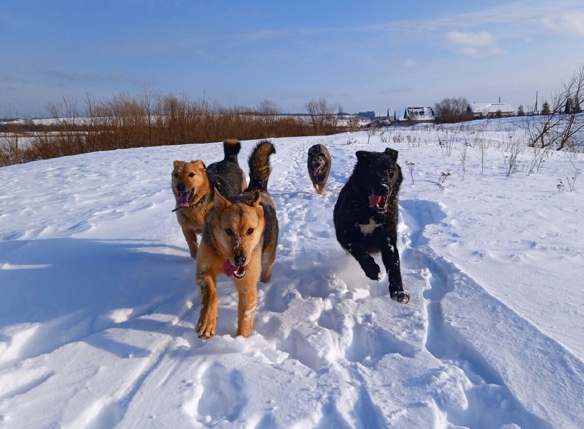 Веселая компания!