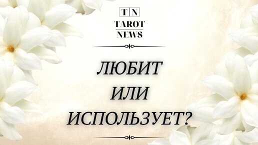 Тарот ньюс. Тарот ньюс. Тарот ньюс. Тарот ньюс. Тарот ньюс.