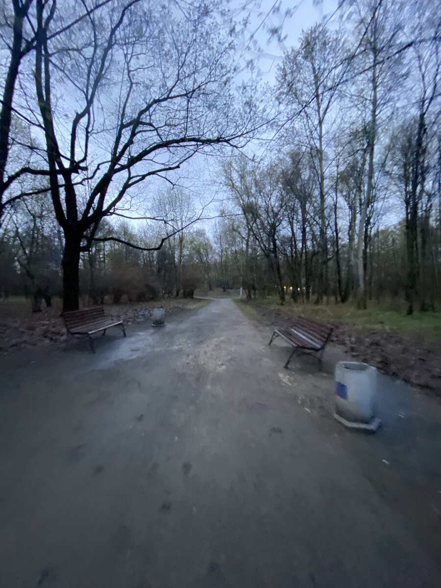 Парк «Сокольники»